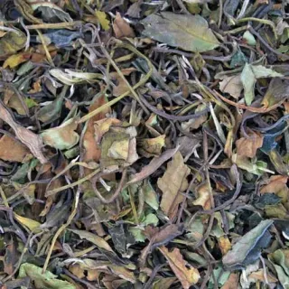 Té Blanco Pai Mu Tan (Ecológico) (Superior)