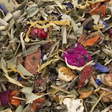 Infusión Feng Shui